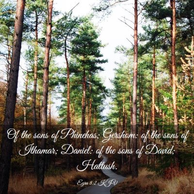 Picture 03 - Ezra 8:2 KJV - Of the sons of Phinehas; Gershom: of the sons of - Bible Verse Picture