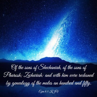 Picture 03 - Ezra 8:3 KJV - Of the sons of Shechaniah, of the sons of - Bible Verse Picture