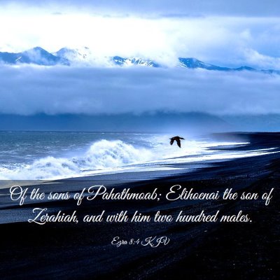 Picture 03 - Ezra 8:4 KJV - Of the sons of Pahathmoab; Elihoenai the son of - Bible Verse Picture