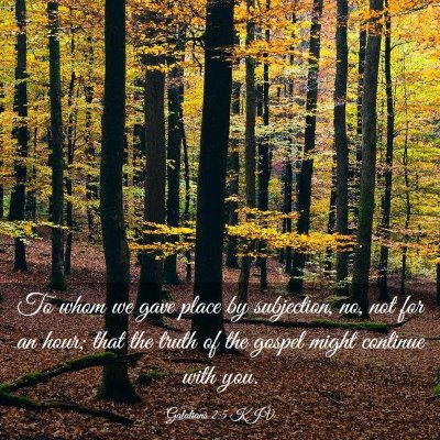Picture 03 - Galatians 2:5 KJV - To whom we gave place by subjection, no, not for - Bible Verse Picture