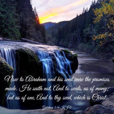 Picture 03 - Galatians 3:16 KJV - Now to Abraham and his seed were the promises - Bible Verse Picture