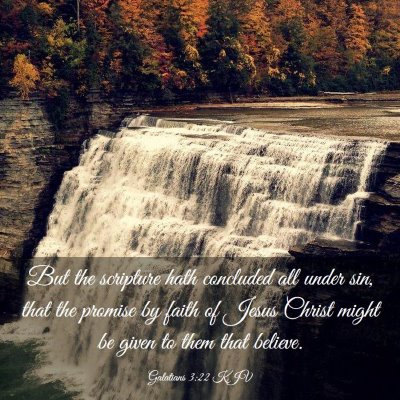 Picture 03 - Galatians 3:22 KJV - But the scripture hath concluded all under sin, - Bible Verse Picture