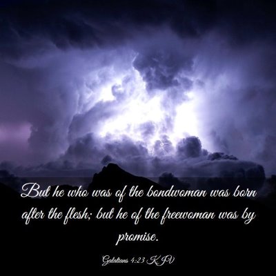 Picture 03 - Galatians 4:23 KJV - But he who was of the bondwoman was born after - Bible Verse Picture