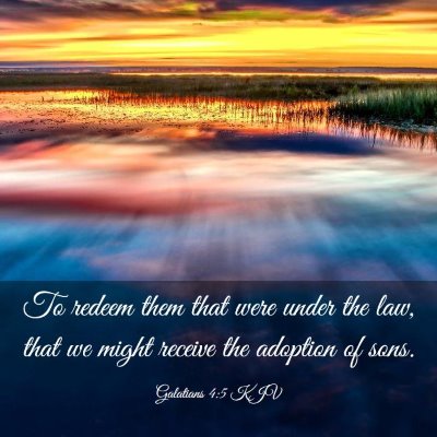 Picture 03 - Galatians 4:5 KJV - To redeem them that were under the law, that we - Bible Verse Picture
