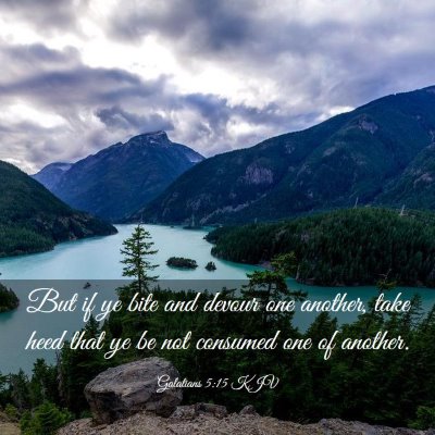 Picture 03 - Galatians 5:15 KJV - But if ye bite and devour one another, take heed - Bible Verse Picture