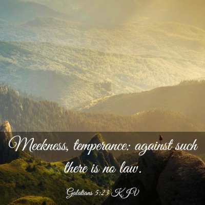 Picture 03 - Galatians 5:23 KJV - Meekness, temperance: against such there is no - Bible Verse Picture