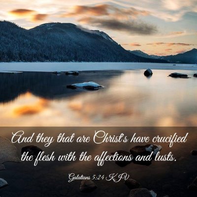 Picture 03 - Galatians 5:24 KJV - And they that are Christ's have crucified the - Bible Verse Picture