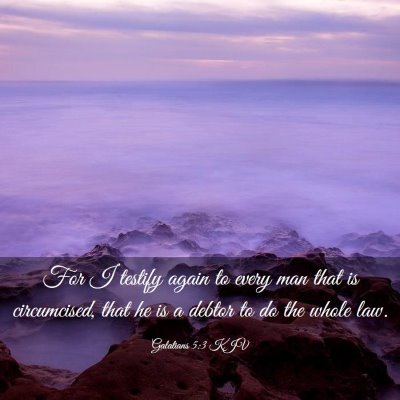 Picture 03 - Galatians 5:3 KJV - For I testify again to every man that is - Bible Verse Picture