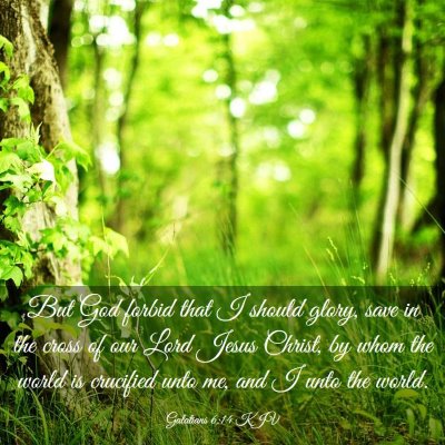 Picture 03 - Galatians 6:14 KJV - But God forbid that I should glory, save in the - Bible Verse Picture