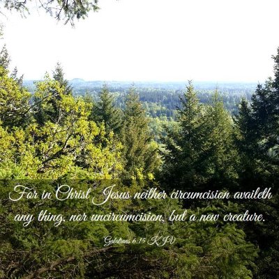 Picture 03 - Galatians 6:15 KJV - For in Christ Jesus neither circumcision availeth - Bible Verse Picture