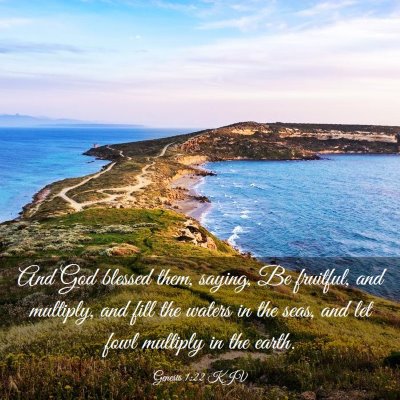 Picture 03 - Genesis 1:22 KJV - And God blessed them, saying, Be fruitful, and - Bible Verse Picture