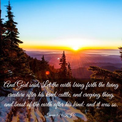 Picture 03 - Genesis 1:24 KJV - And God said, Let the earth bring forth the - Bible Verse Picture