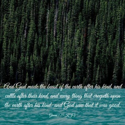 Picture 03 - Genesis 1:25 KJV - And God made the beast of the earth after his - Bible Verse Picture