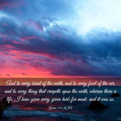 Picture 03 - Genesis 1:30 KJV - And to every beast of the earth, and to every - Bible Verse Picture