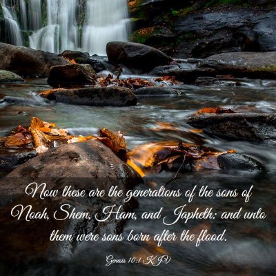 Picture 03 - Genesis 10:1 KJV - Now these are the generations of the sons of - Bible Verse Picture