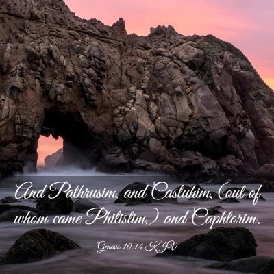 Picture 03 - Genesis 10:14 KJV - And Pathrusim, and Casluhim, (out of whom came - Bible Verse Picture