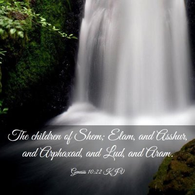 Picture 03 - Genesis 10:22 KJV - The children of Shem; Elam, and Asshur, and - Bible Verse Picture