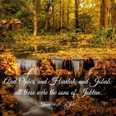 Picture 03 - Genesis 10:29 KJV - And Ophir, and Havilah, and Jobab: all these were - Bible Verse Picture