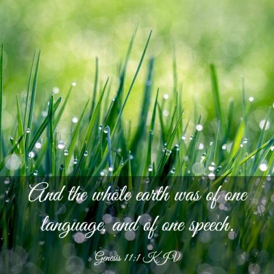 Picture 03 - Genesis 11:1 KJV - And the whole earth was of one language, and of - Bible Verse Picture