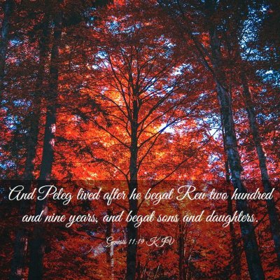 Picture 03 - Genesis 11:19 KJV - And Peleg lived after he begat Reu two hundred - Bible Verse Picture