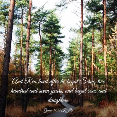 Picture 03 - Genesis 11:21 KJV - And Reu lived after he begat Serug two hundred - Bible Verse Picture