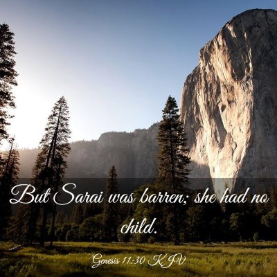 Picture 03 - Genesis 11:30 KJV - But Sarai was barren; she had no - Bible Verse Picture