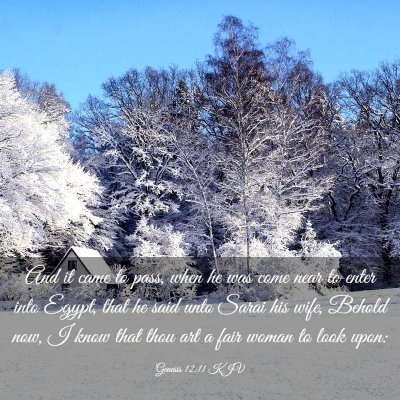 Picture 03 - Genesis 12:11 KJV - And it came to pass, when he was come near to - Bible Verse Picture