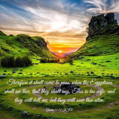 Picture 03 - Genesis 12:12 KJV - Therefore it shall come to pass, when the - Bible Verse Picture