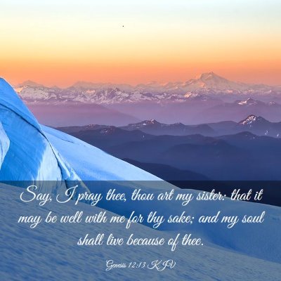 Picture 03 - Genesis 12:13 KJV - Say, I pray thee, thou art my sister: that it may - Bible Verse Picture
