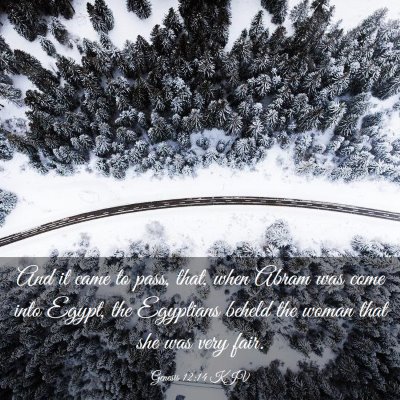 Picture 03 - Genesis 12:14 KJV - And it came to pass, that, when Abram was come - Bible Verse Picture