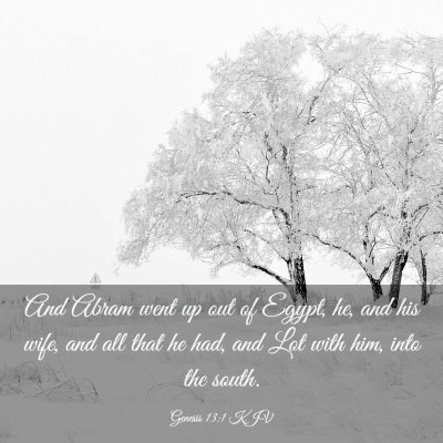 Picture 03 - Genesis 13:1 KJV - And Abram went up out of Egypt, he, and his wife, - Bible Verse Picture