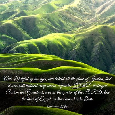 Picture 03 - Genesis 13:10 KJV - And Lot lifted up his eyes, and beheld all the - Bible Verse Picture