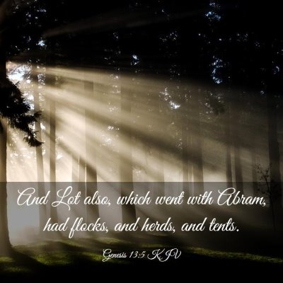 Picture 03 - Genesis 13:5 KJV - And Lot also, which went with Abram, had flocks, - Bible Verse Picture