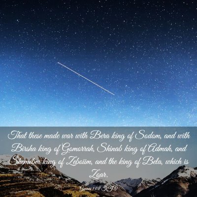 Picture 03 - Genesis 14:2 KJV - That these made war with Bera king of Sodom, and - Bible Verse Picture