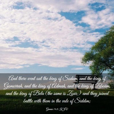 Picture 03 - Genesis 14:8 KJV - And there went out the king of Sodom, and the - Bible Verse Picture