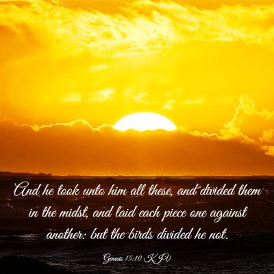 Picture 03 - Genesis 15:10 KJV - And he took unto him all these, and divided them - Bible Verse Picture