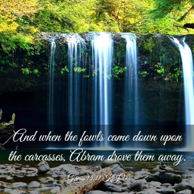 Picture 03 - Genesis 15:11 KJV - And when the fowls came down upon the carcasses, - Bible Verse Picture