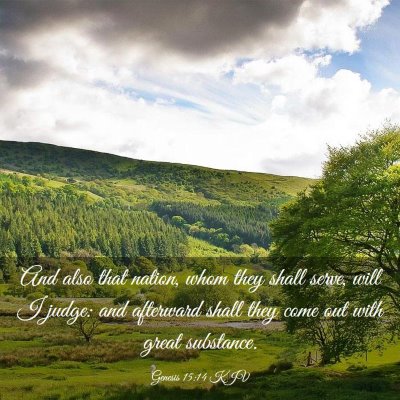 Picture 03 - Genesis 15:14 KJV - And also that nation, whom they shall serve, will - Bible Verse Picture