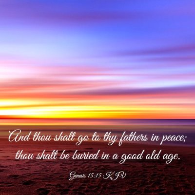 Picture 03 - Genesis 15:15 KJV - And thou shalt go to thy fathers in peace; thou - Bible Verse Picture