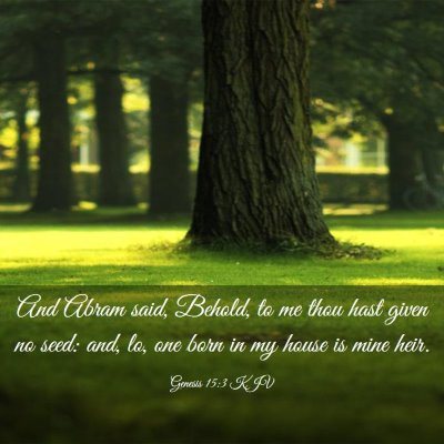 Picture 03 - Genesis 15:3 KJV - And Abram said, Behold, to me thou hast given no - Bible Verse Picture