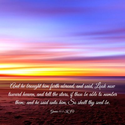 Picture 03 - Genesis 15:5 KJV - And he brought him forth abroad, and said, Look - Bible Verse Picture