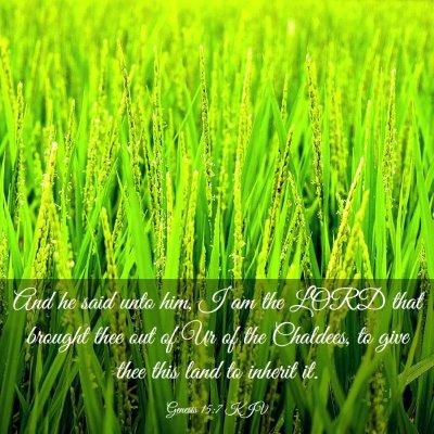 Picture 03 - Genesis 15:7 KJV - And he said unto him, I am the LORD that brought - Bible Verse Picture