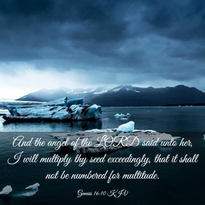 Picture 03 - Genesis 16:10 KJV - And the angel of the LORD said unto her, I will - Bible Verse Picture