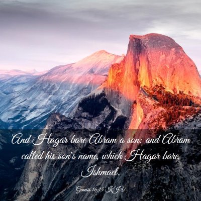 Picture 03 - Genesis 16:15 KJV - And Hagar bare Abram a son: and Abram called his - Bible Verse Picture