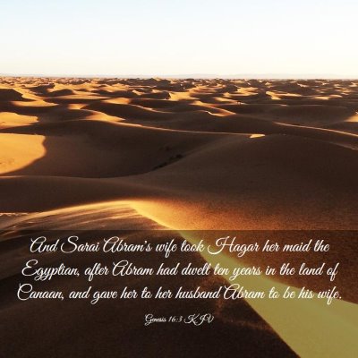 Picture 03 - Genesis 16:3 KJV - And Sarai Abram's wife took Hagar her maid the - Bible Verse Picture