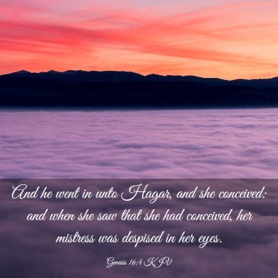 Picture 03 - Genesis 16:4 KJV - And he went in unto Hagar, and she conceived: and - Bible Verse Picture
