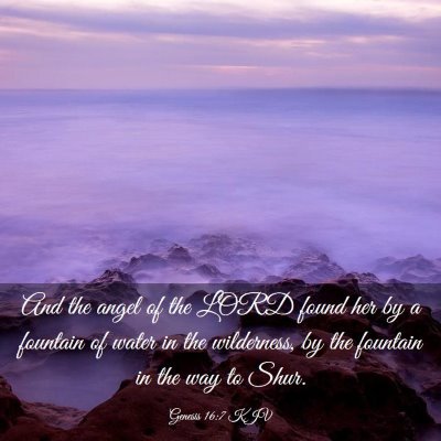 Picture 03 - Genesis 16:7 KJV - And the angel of the LORD found her by a fountain - Bible Verse Picture
