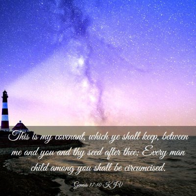 Picture 03 - Genesis 17:10 KJV - This is my covenant, which ye shall keep, between - Bible Verse Picture