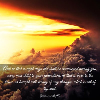 Picture 03 - Genesis 17:12 KJV - And he that is eight days old shall be - Bible Verse Picture