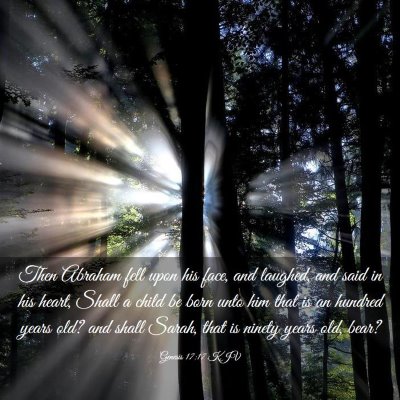 Picture 03 - Genesis 17:17 KJV - Then Abraham fell upon his face, and laughed, and - Bible Verse Picture